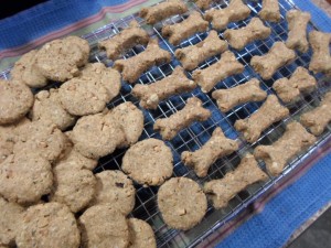 Dog Treats 2