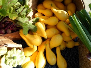 Market Squash