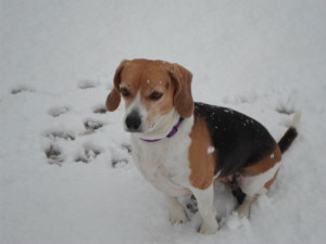 Sally's first snow