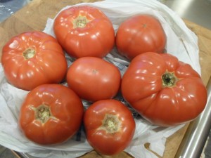 tomatoes